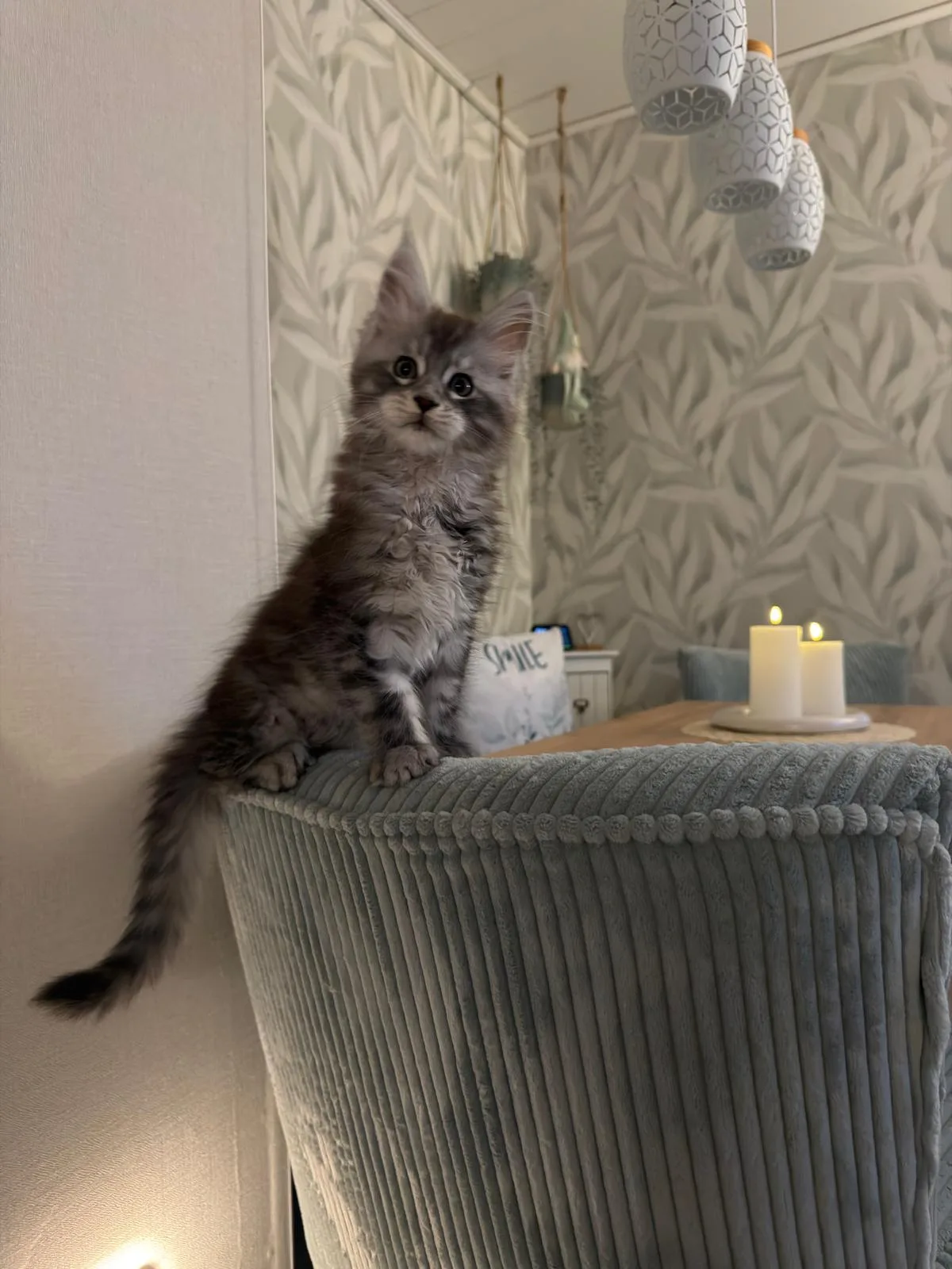 Finley von der Potterbande